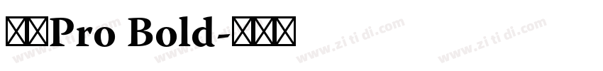 日产Pro Bold字体转换